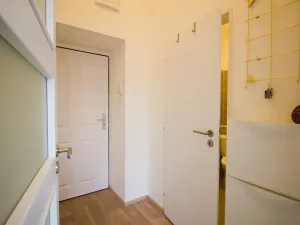 Pronájem bytu 1+kk, Brno, Koliště, 26 m2