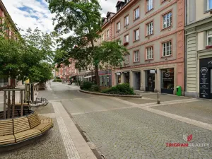 Pronájem bytu 2+1, Hradec Králové, Čelakovského, 80 m2