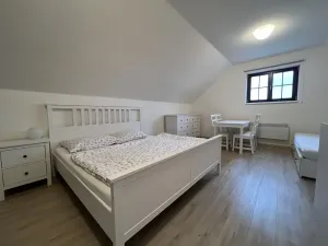 Prodej vinného sklepa, Čejkovice, 66 m2