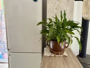 Pronájem rodinného domu, Březová nad Svitavou, 70 m2