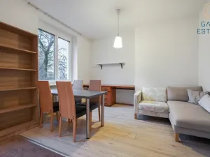 Pronájem bytu 2+kk, Brno, Leitnerova, 50 m2