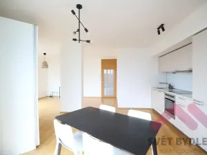 Pronájem bytu 1+kk, Praha - Žižkov, Pitterova, 66 m2