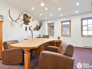 Prodej obchodního prostoru, Cetkovice, Velká Strana, 420 m2