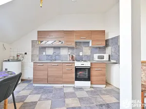 Prodej obchodního prostoru, Cetkovice, Velká Strana, 420 m2