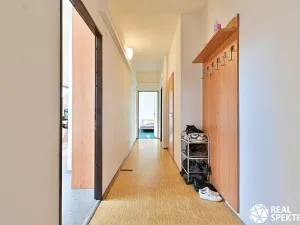 Prodej obchodního prostoru, Cetkovice, Velká Strana, 420 m2