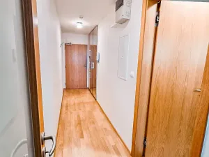 Pronájem bytu 1+kk, Praha - Žižkov, Malešická, 38 m2