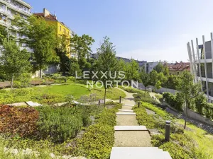 Pronájem bytu 4+kk, Praha - Smíchov, Holečkova, 211 m2