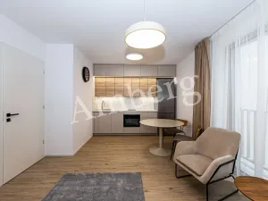 Pronájem bytu 1+kk, Praha - Karlín, Křižíkova, 32 m2