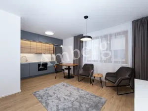 Pronájem bytu 1+kk, Praha - Karlín, Křižíkova, 32 m2