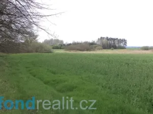 Prodej pole, Žíšov, 3467 m2