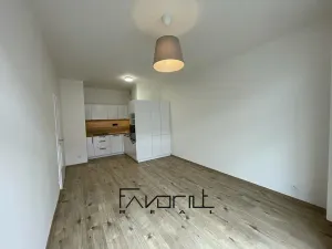 Pronájem bytu 2+kk, Ostrava, Hasičská, 153 m2