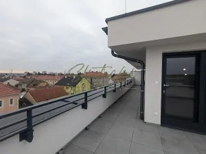 Pronájem bytu 3+kk, Hodonín, 150 m2