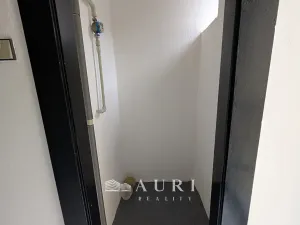 Prodej bytu 2+1, Praha - Žižkov, Jičínská, 66 m2