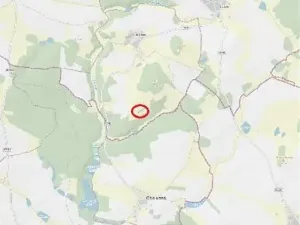 Prodej lesa, Častrov, 768 m2