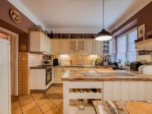 Prodej obchodního prostoru, Suchdol nad Lužnicí, Pražská, 180 m2