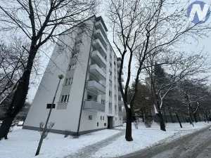 Pronájem bytu 1+1, Písek, Dr. M. Horákové, 44 m2