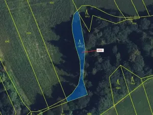 Dražba lesa, Spešov, 500 m2