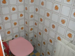 Dražba rodinného domu, Nasavrky, 231 m2