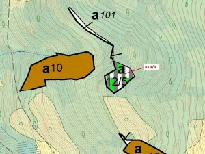 Dražba lesa, Zubrnice, 2875 m2