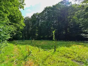 Prodej chalupy, Paseka, 116 m2