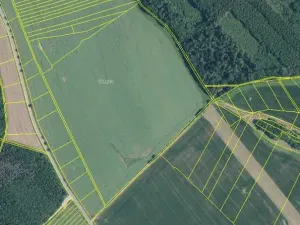 Dražba pole, Vyškov, 89174 m2