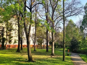 Pronájem bytu 1+kk, Praha - Nové Město, Na bojišti, 36 m2