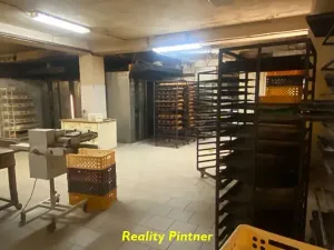 Pronájem výrobních prostor, Příbram, Plzeňská, 350 m2