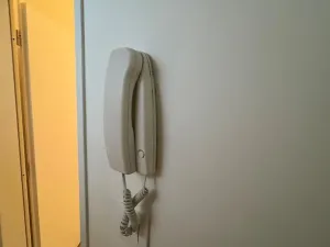 Prodej bytu 2+1, Brno, Netušilova, 46 m2