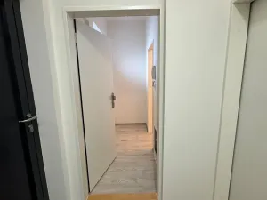 Prodej bytu 2+1, Brno, Netušilova, 46 m2