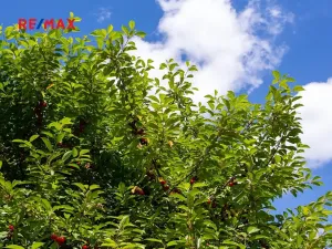 Prodej pozemku pro bydlení, Semily, 1962 m2