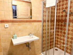 Pronájem ubytování, Valtice, Josefská, 251 m2