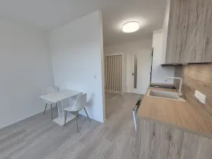 Pronájem bytu 1+kk, Brno, třída Generála Píky, 35 m2