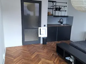 Pronájem bytu 1+kk, Brno, Halasovo náměstí, 24 m2