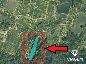 Prodej lesa, Rychvald, 9069 m2