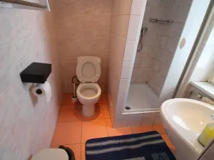 Prodej ubytování, Potůčky, 750 m2