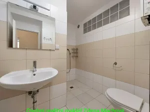 Prodej bytu 2+kk, Praha - Žižkov, Domažlická, 52 m2
