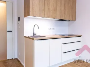 Pronájem bytu 1+kk, Praha - Žižkov, Šrámkové, 33 m2