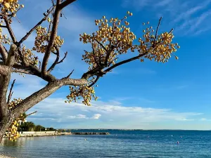 Prodej vily, Vir, Chorvatsko, 129 m2