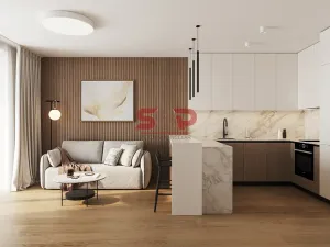 Prodej bytu 2+kk, Vyškov, 55 m2