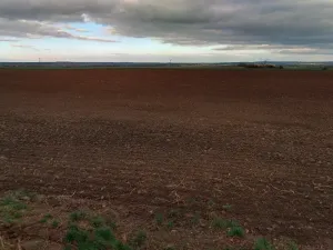 Prodej podílu pole, Červené Pečky, 5013 m2