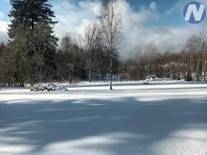 Prodej pozemku pro bydlení, Strážný, 2500 m2