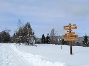 Prodej pozemku pro bydlení, Strážný, 2500 m2