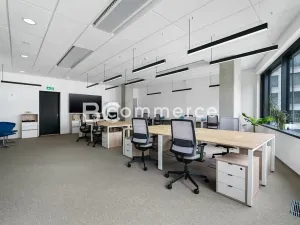 Pronájem kanceláře, Brno, 310 m2