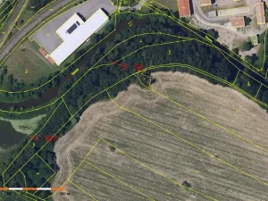 Prodej lesa, Havlíčkův Brod, 11144 m2