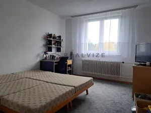 Pronájem bytu 4+1, Přední Výtoň, 95 m2