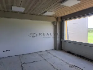 Pronájem kanceláře, Kamenný Újezd, Plavnická, 30 m2