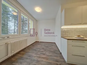 Pronájem bytu 2+1, Jindřichův Hradec, sídliště Vajgar, 61 m2