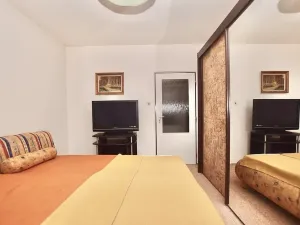 Prodej bytu 2+1, Sobotín, 60 m2