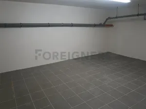 Pronájem rodinného domu, Brno, Hatě, 370 m2