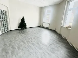 Pronájem kanceláře, Ústí nad Labem, Na Luhách, 40 m2